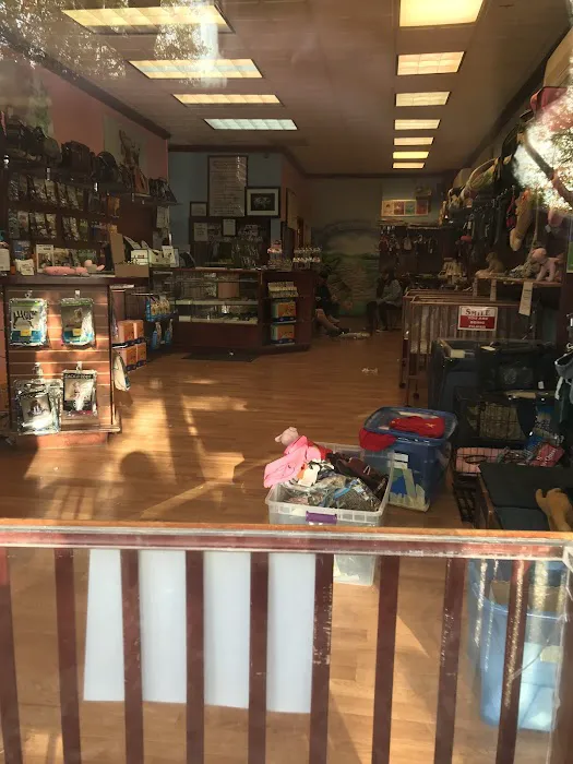Vanity Pups Boutique Picture 3