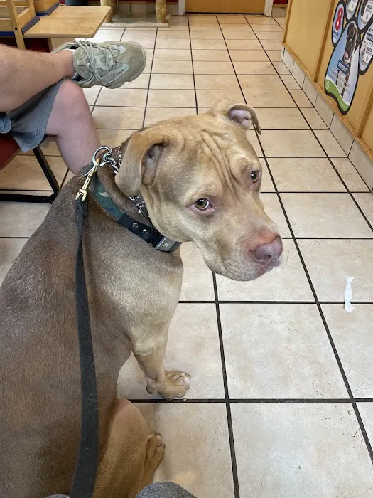 Manorville Pet Vet Picture 5