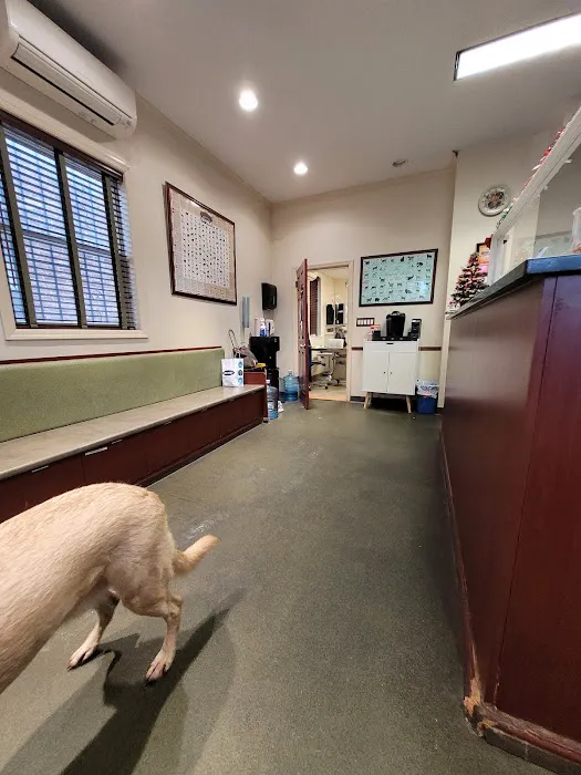Veterinary Care Group - Whitestone Picture 5