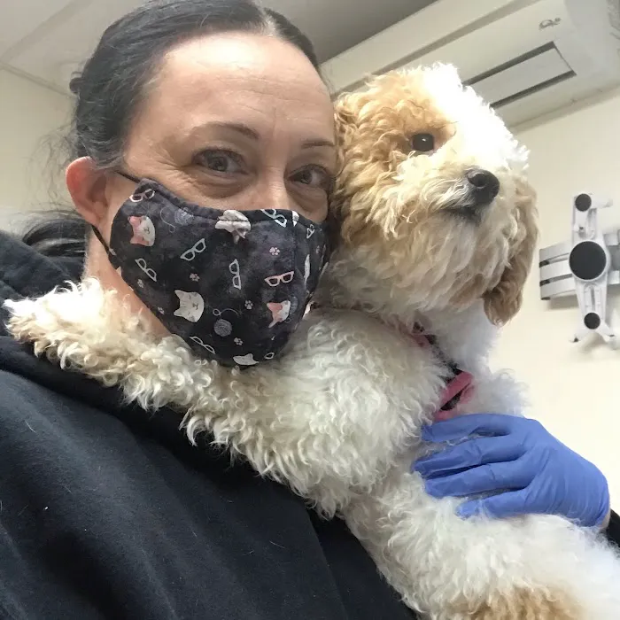 Veterinary Care Group - Whitestone Picture 10