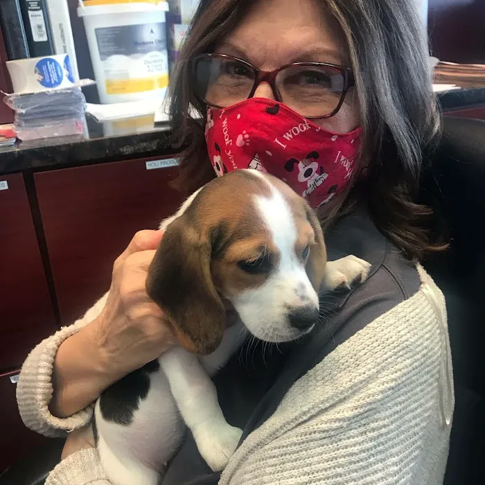 Veterinary Care Group - Whitestone Picture 9
