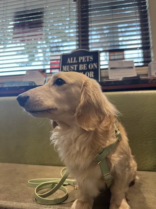 Veterinary Care Group - Whitestone Picture 7