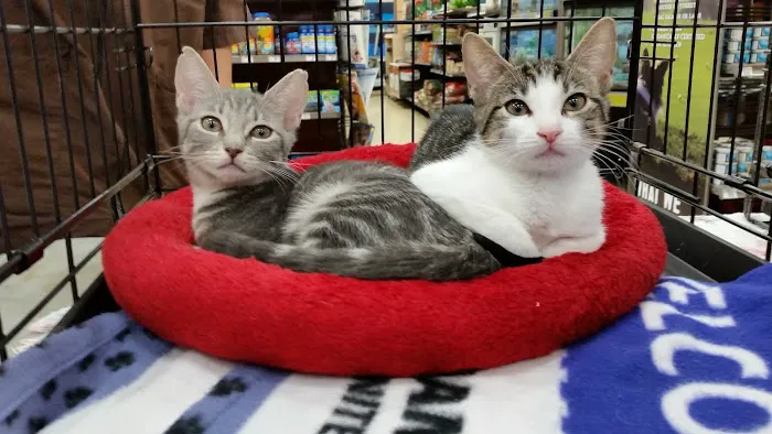 Petco Picture 9