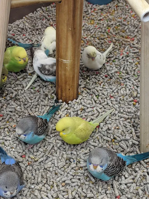 Petco Picture 4