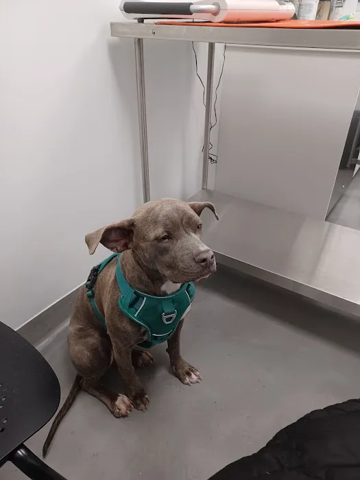 ASPCA Community Veterinary Clinic Picture 1