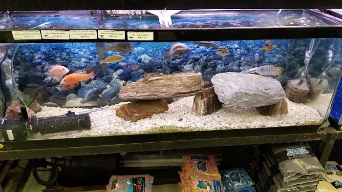 Petland Discounts - LI City Picture 6
