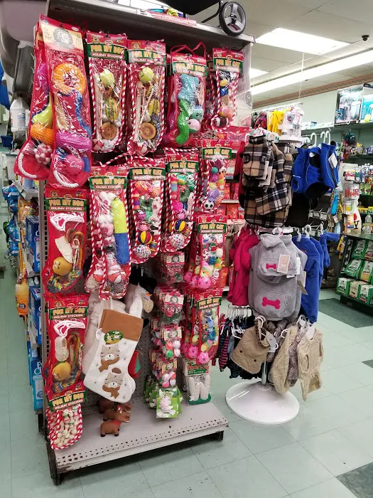 Petland Discounts - LI City Picture 5