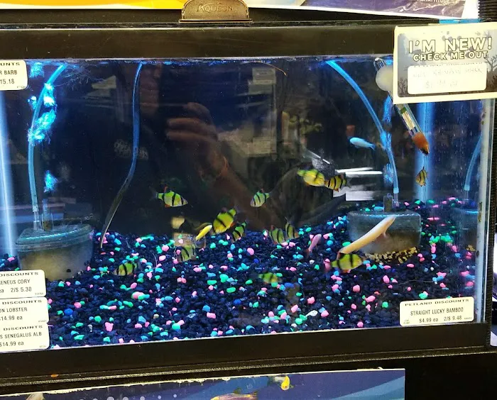 Petland Discounts - LI City Picture 10