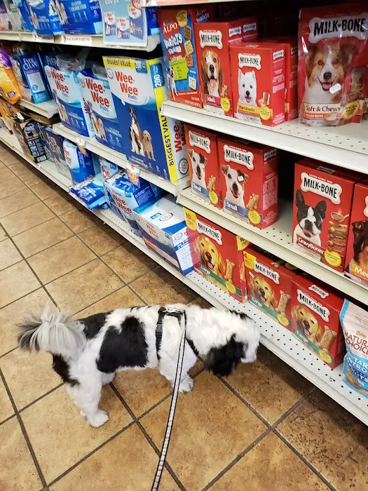 Petland Discounts - LI City Picture 2