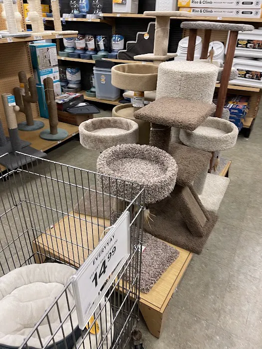 Petco Picture 4