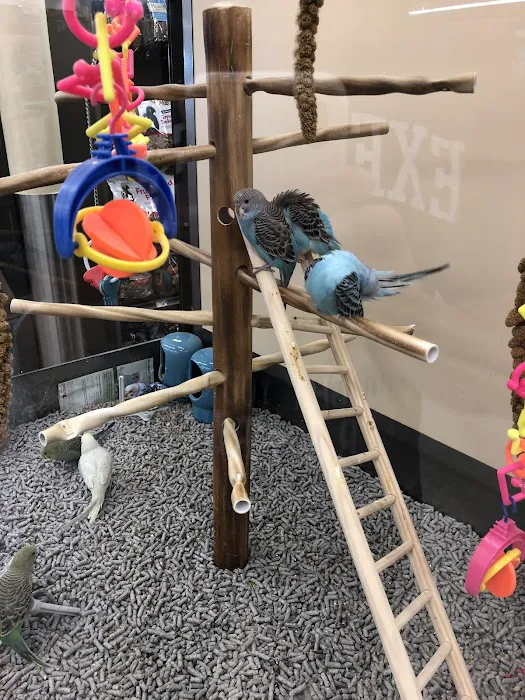 Petco Picture 10