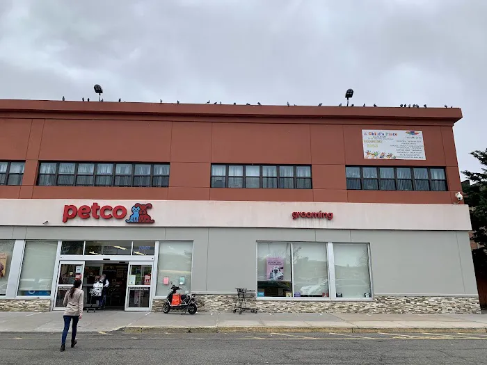 Petco Picture 2