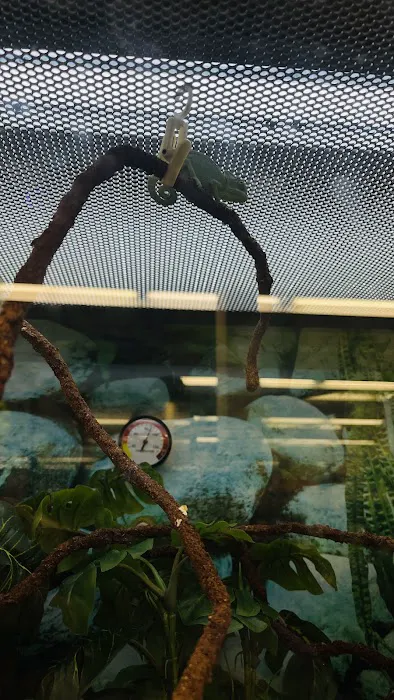 Petco Picture 9