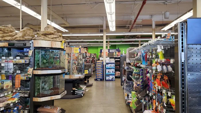 Petco Picture 3