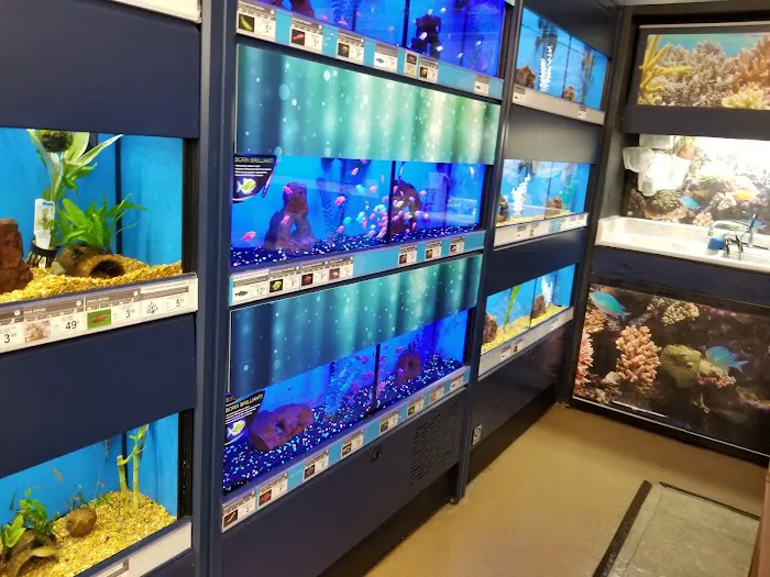 Petco Picture 8