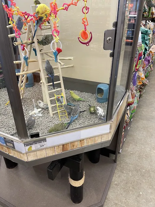 Petco Picture 6