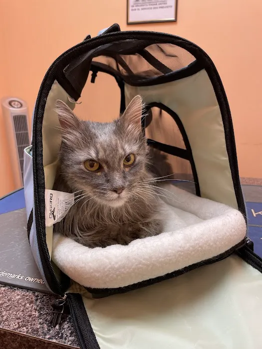 Glendale Veterinary Clinic Picture 2