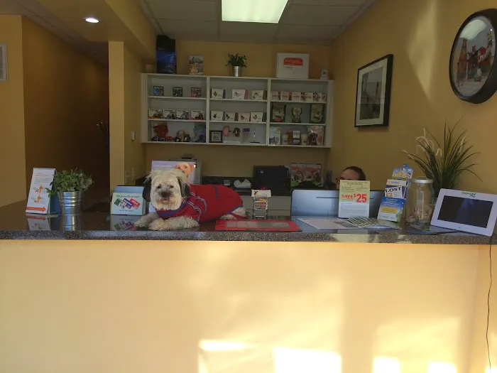 Glendale Veterinary Clinic Picture 1