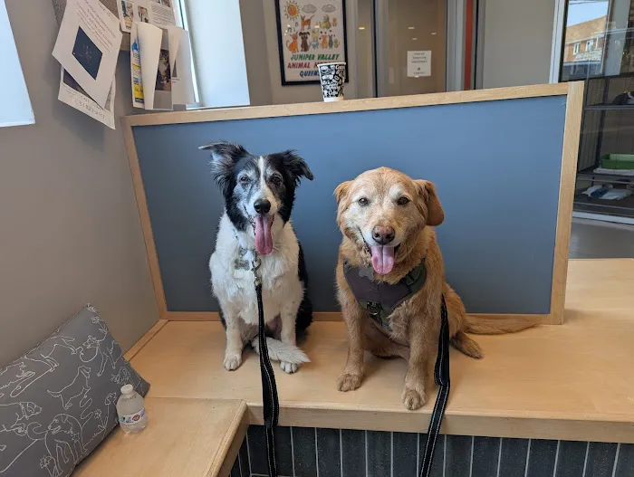Juniper Valley Animal Hospital Picture 7
