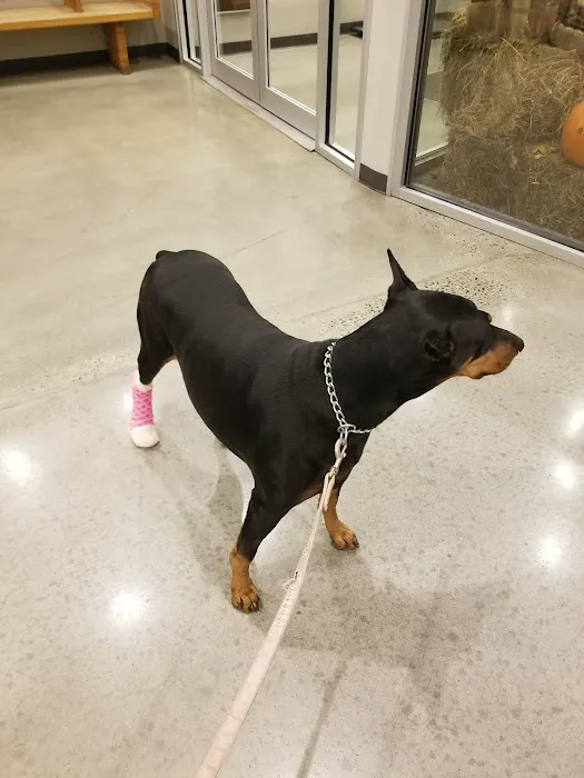 Juniper Valley Animal Hospital Picture 6