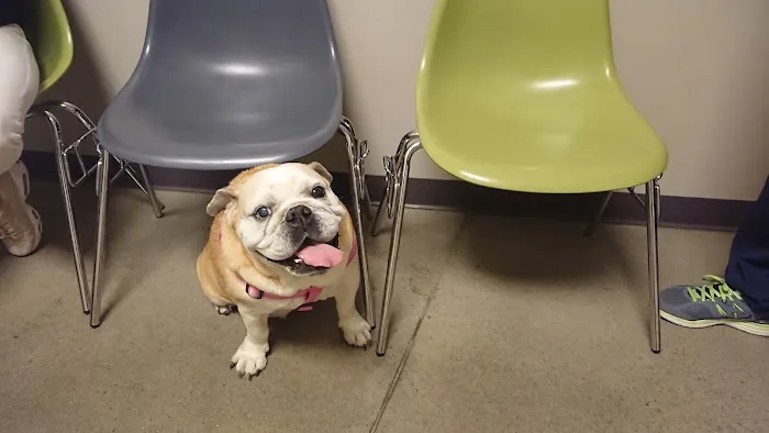 Juniper Valley Animal Hospital Picture 10