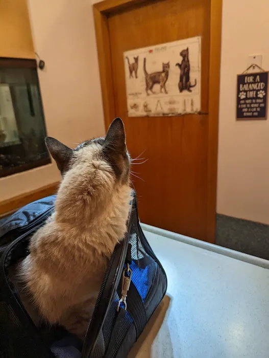 Animal Clinic of Queens Picture 7