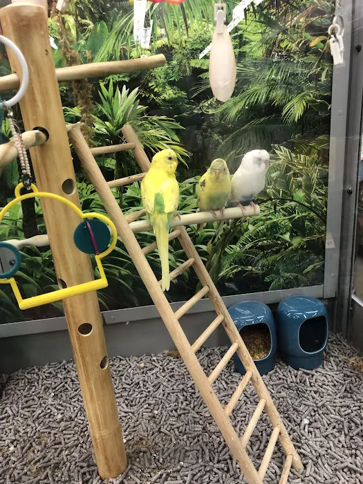 Petco Picture 10