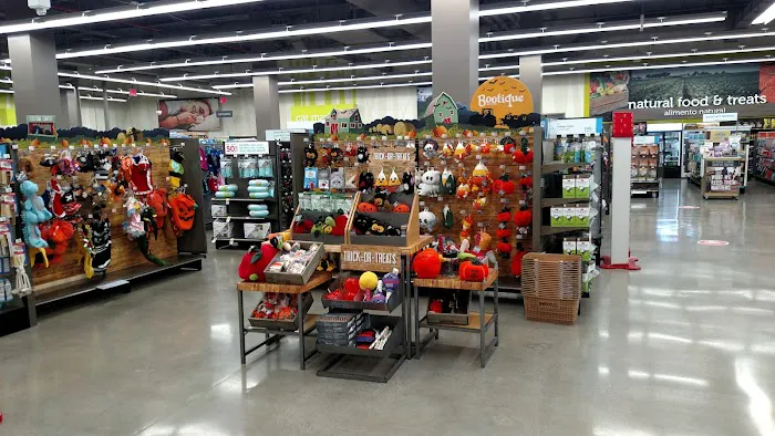 Petco Picture 3
