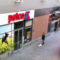 Petco ico