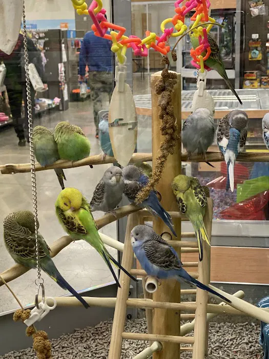 Petco Picture 2