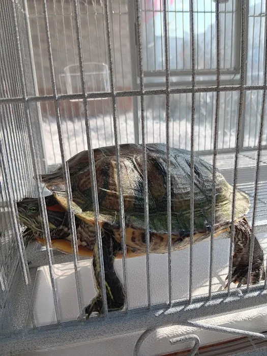 Tropical Pets Inc. Picture 6