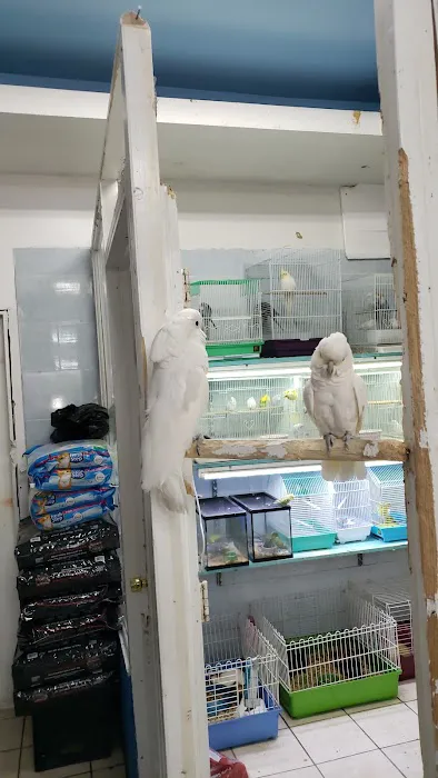 Tropical Pets Inc. Picture 7