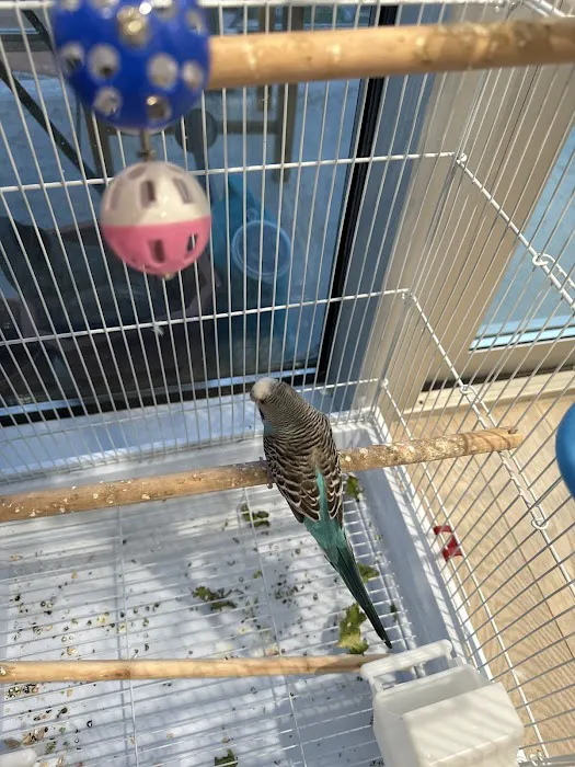 Tropical Pets Inc. Picture 1