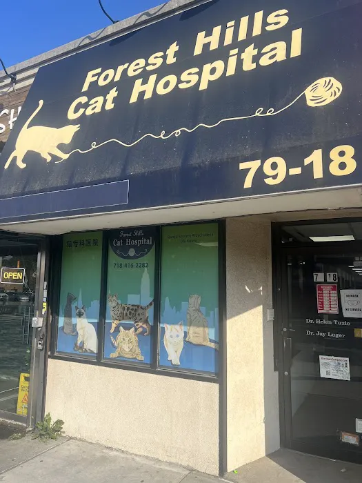Forest Hills Cat Hospital Picture 1