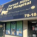 Forest Hills Cat Hospital