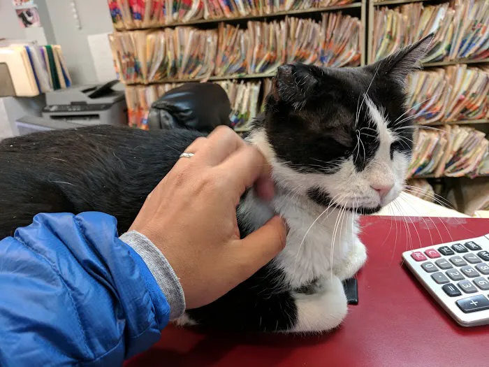 Forest Hills Cat Hospital Picture 2