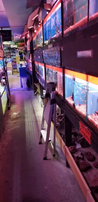 Kissena Aquarium Inc Picture 1