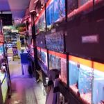 Kissena Aquarium Inc