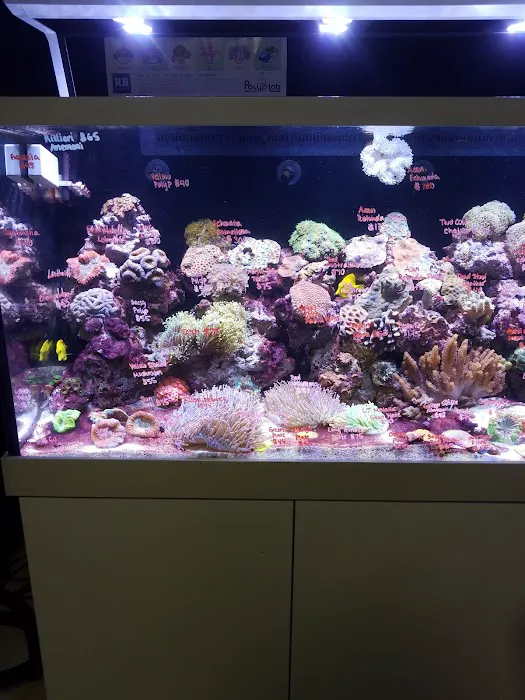 Monster Aquarium Inc - Shop in Queens New York Picture 8