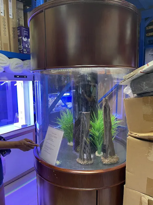 Monster Aquarium Inc - Shop in Queens New York Picture 6