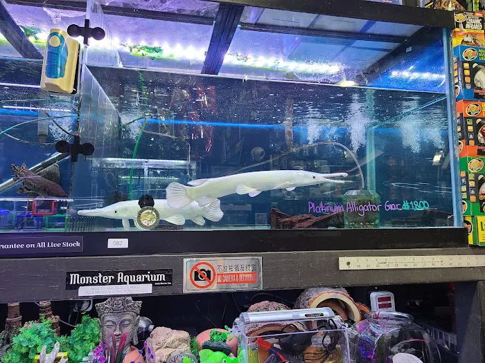Monster Aquarium Inc - Shop in Queens New York Picture 1