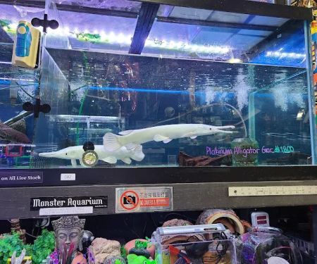 Monster Aquarium Inc - Shop in Queens New York