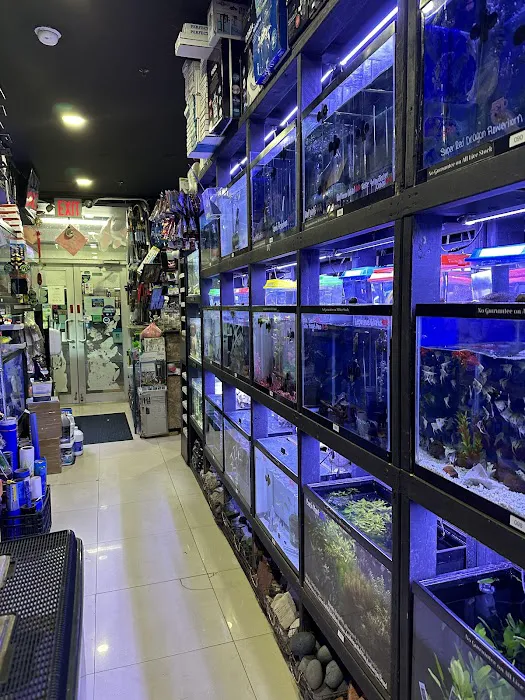 Monster Aquarium Inc - Shop in Queens New York Picture 7
