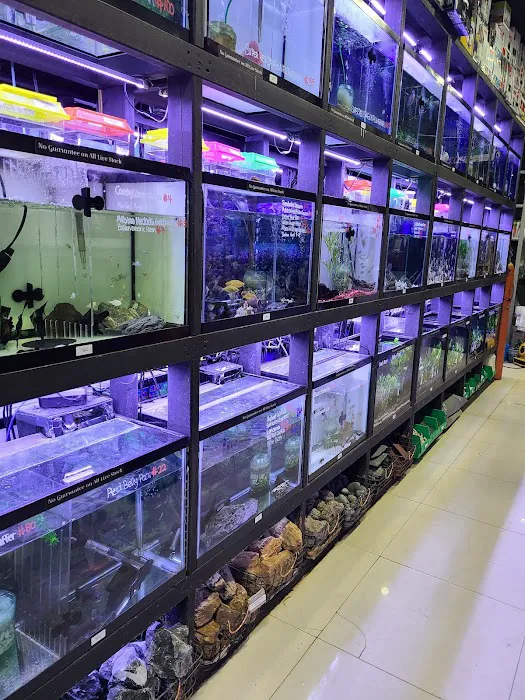 Monster Aquarium Inc - Shop in Queens New York Picture 9