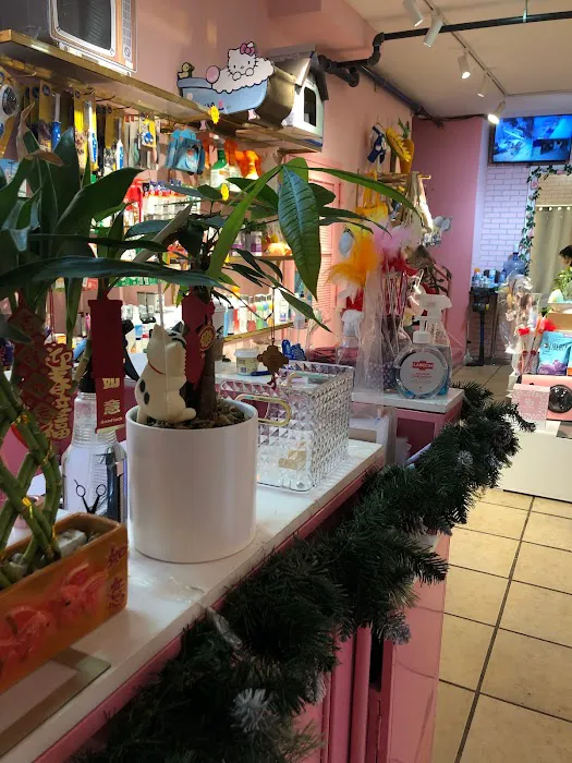 Pet Home - 萌宠之家 Picture 7