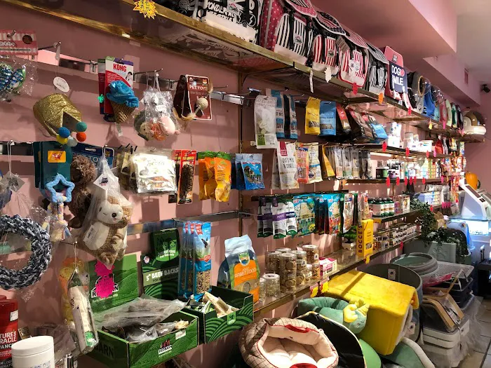 Pet Home - 萌宠之家 Picture 10