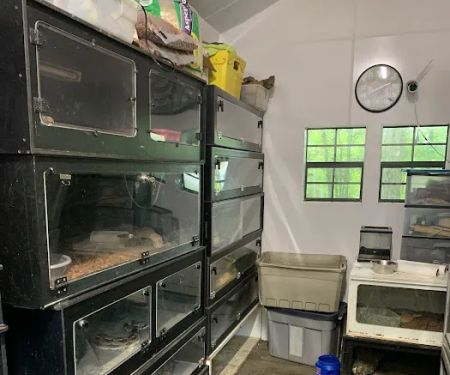Rhonda's Reptiles