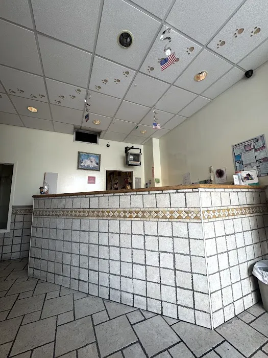 Elmhurst Animal Hospital Picture 8