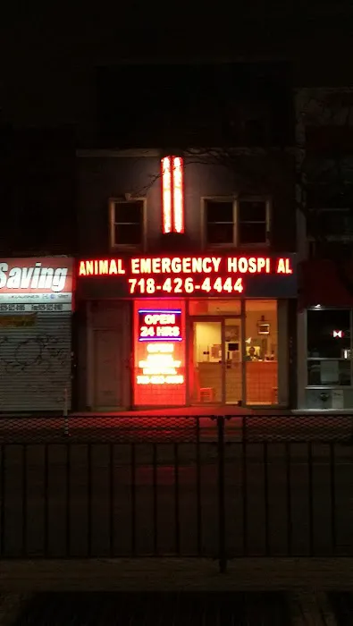 Elmhurst Animal Hospital Picture 4
