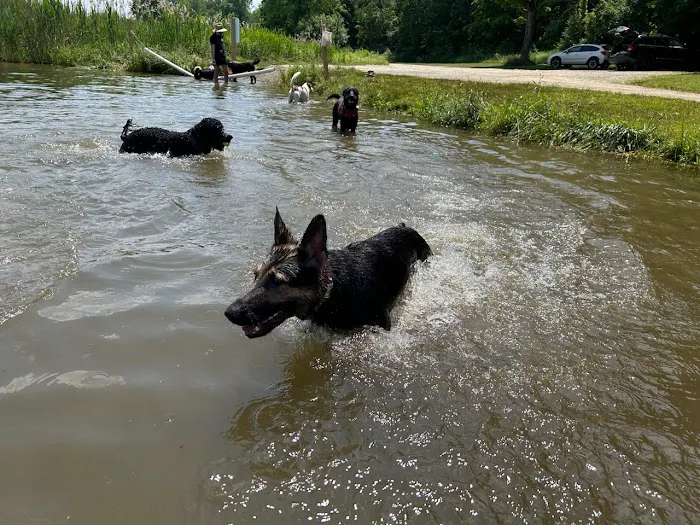 H.H.H Canine Lodge & Ranch Picture 7
